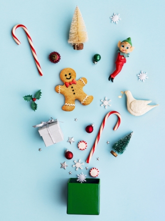 Así pasan las celebrities la Navidad