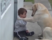 El vídeo viral del niño argentino con síndrome de Down y su perro