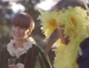 What does the Fox say?!, la canción del zorro que arrasa en Youtube