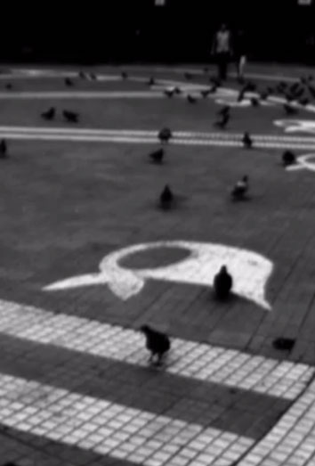 Las mujeres del día son las madres de plaza de mayo