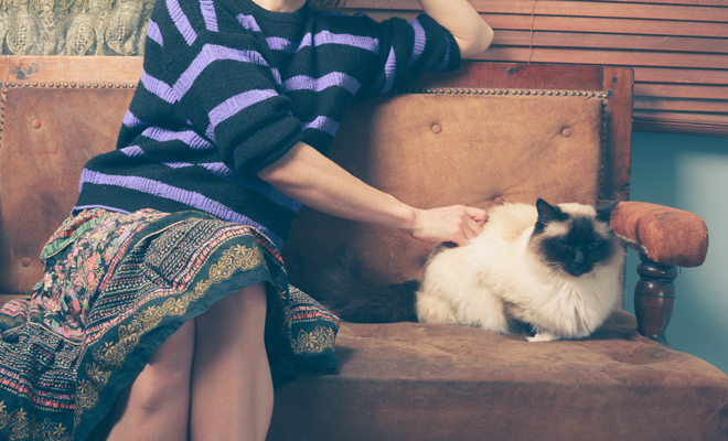 7 signos que demuestran que no necesitas pareja, sino un gato