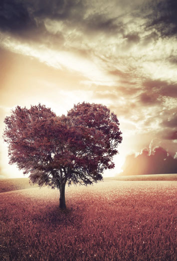 Historia de amor inmortal