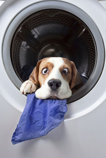 Enviar mensajes divertidos para superar el desamor