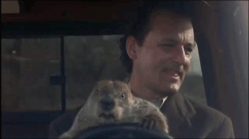 Gif de 'El día de la marmota': cómo terminar con un relación como en las películas. 