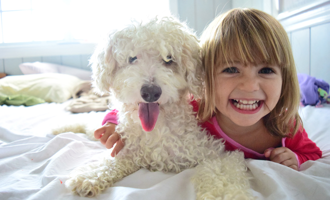 Nombres de fantasía para perros