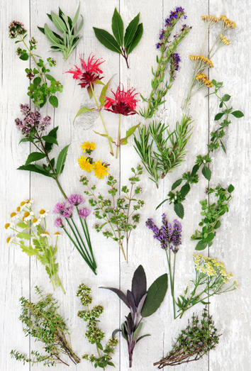 214880-ingredientes-amarres flores