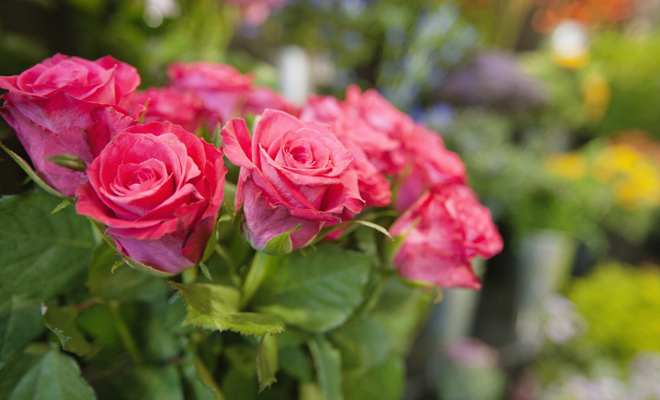 hechizos de amor que funcionan