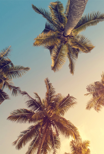 217022-verano hechizos que solo funcionan en verano