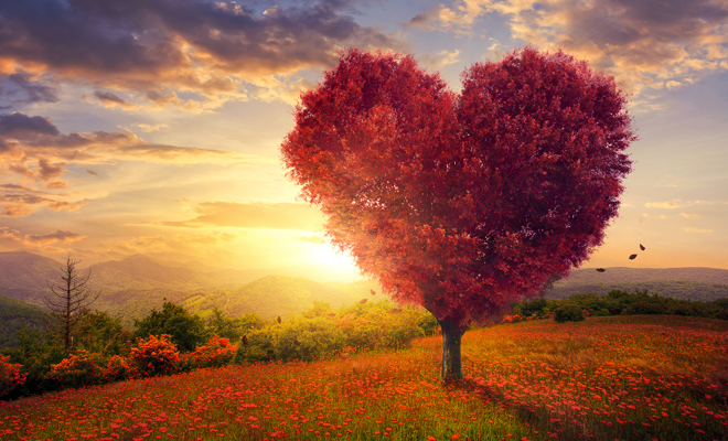 El amor en el 2018 según cada signo del horóscopo El amor en el 2018 según cada signo del horóscopo