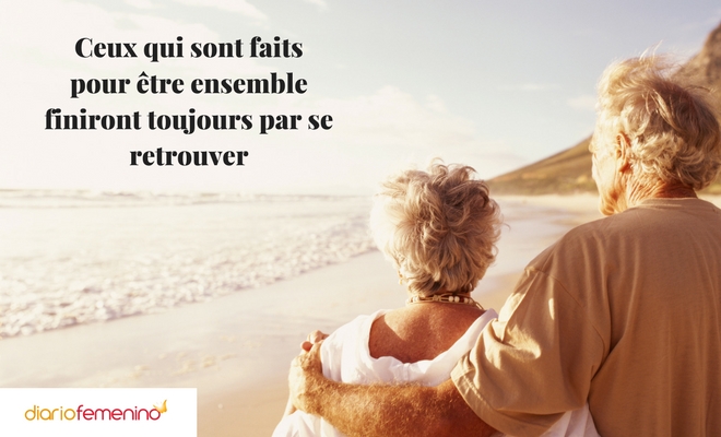 Frases de amor en francés: aprende la romántica lengua del amor