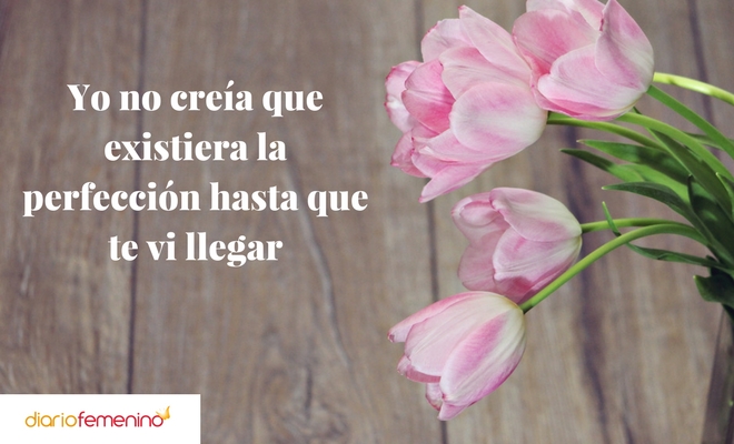 Frases para afianzar vuestra relación Frases para afianzar vuestra relación