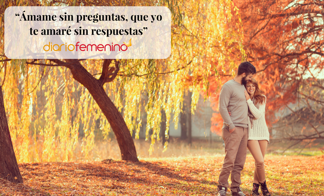 Las 10 frases de amor más bonitas jamás escritas