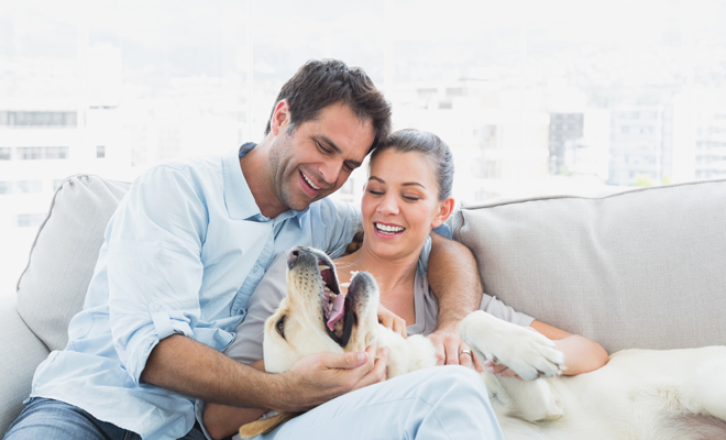 La importancia de la inteligencia emocional en pareja