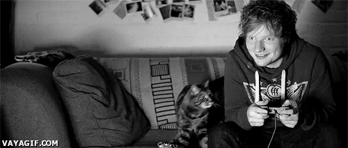 Hombre y videojuegos