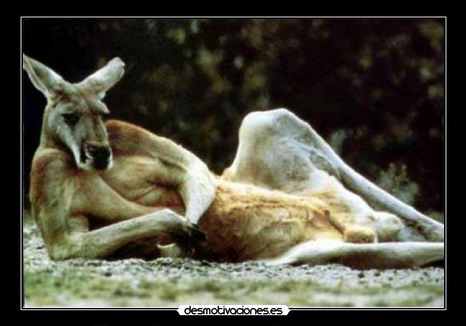 Piropos sexuales Piropos sexuales