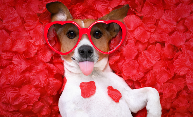 Celebrar San Valentín con las amigas San Valentín con amigas: una propuesta irresistible