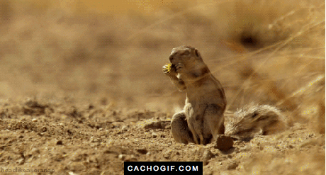 Cómo NO maquillarse en Navidad jamás