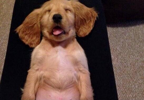 Caras que identifican a las chicas con novio