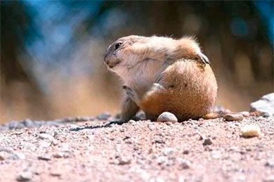 Si te pica la piel, es porque le pasa algo. Ve al dermatólogo para solucionarlo. Si te pica la piel, es porque le pasa algo. Ve al dermatólogo para solucionarlo.