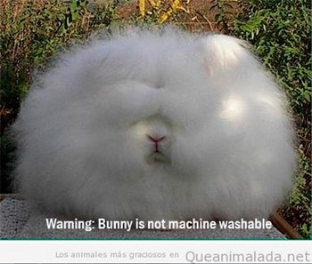 Esta es tu pinta. ¿Por qué no pruebas un corte de pelo más favorecedor?