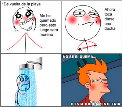 Las quemaduras solares en la piel. 