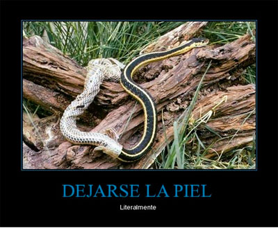 Lo que te pasa cuando te quemas la piel con el sol. 