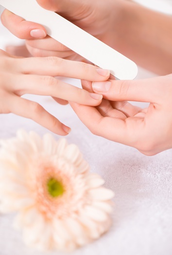 Regeneración de las uñas Regeneración de las uñas