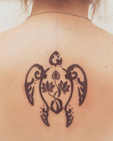 216996-verano2 tortuga