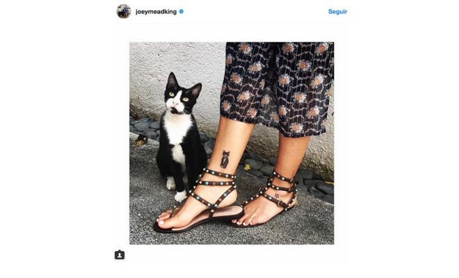 tatuajes de gato para chicas