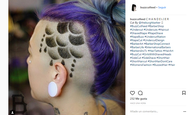 218588-tatuajepelo tatuajes pelo