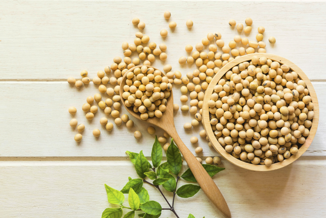 Propiedades soja piel Propiedades soja piel