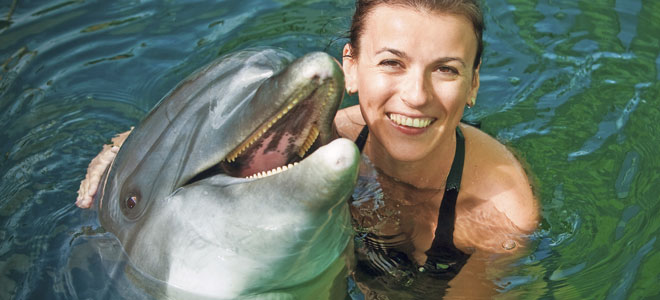 Dieta del delfín o cómo adelgazar y perder peso consumiendo agua de mar