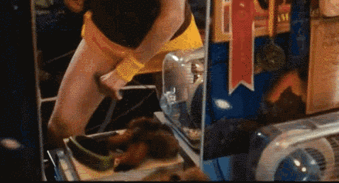 La dieta del deporte