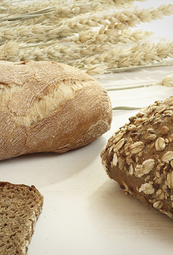 Alimentos bajos en carbohidratos