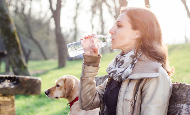 en navidad disfruta comiendo sin engordar en navidad disfruta comiendo sin engordar