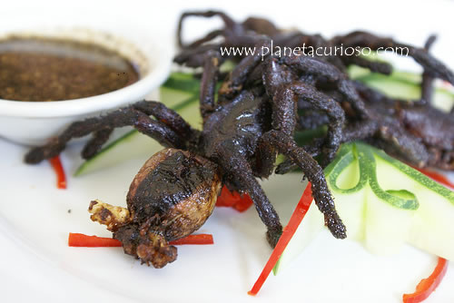Tarántula frita