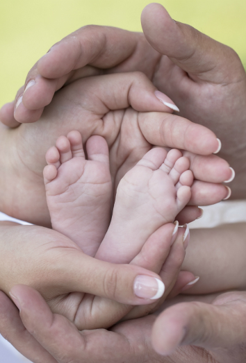 Horóscopo de 2016 para los Aries y su familia