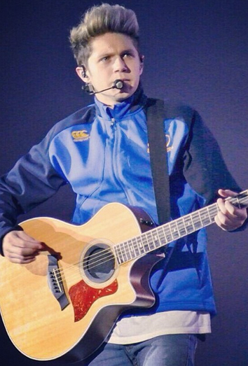 Niall Horan, durante un concierto de WWAT