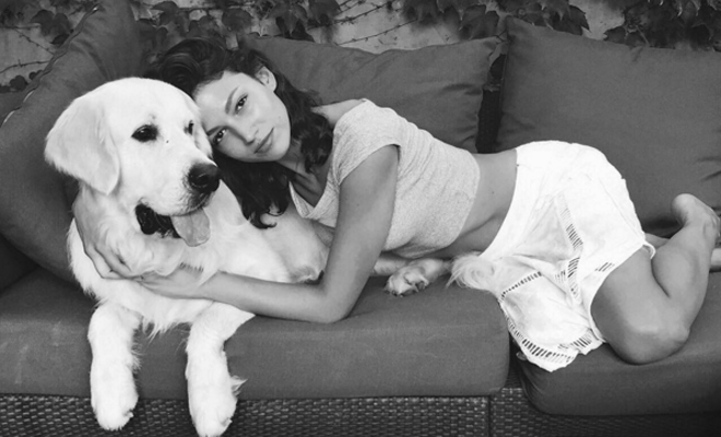 Los nombres chinos para perros Los nombres chinos para perros