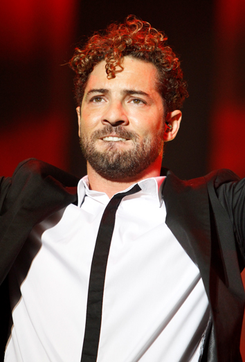 David Bisbal, emocionado en un concierto. David Bisbal, emocionado en un concierto.
