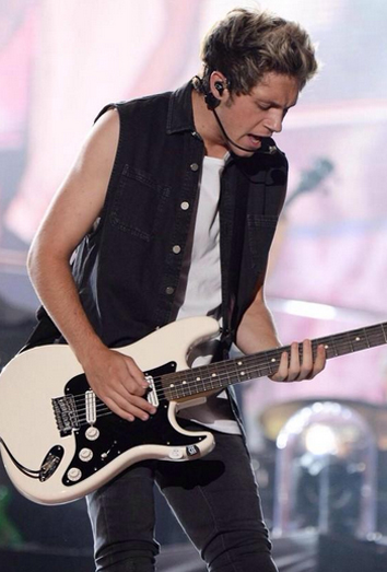 Niall Horan, durante un concierto de la WWAT. Niall Horan, durante un concierto de la WWAT.