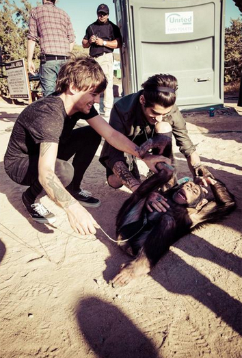 Louis Tomlinson y Zayn Malik, junto al simio de 'Steal my girl'. Louis Tomlinson y Zayn Malik, junto al simio de 'Steal my girl'.