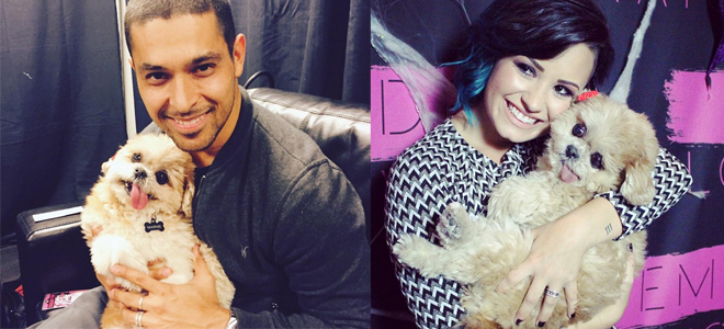Demi Lovato y su novio, con su supuesto anillo de compromiso. Demi Lovato y su novio, con su supuesto anillo de compromiso.