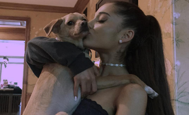 Los nombres para perros de 2016