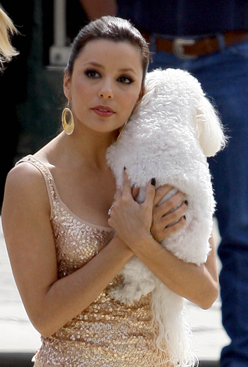 Eva Longoria y su perrito famoso Eva Longoria y su perrito famoso