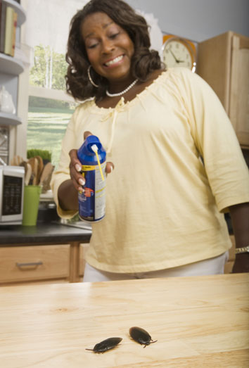 Remedios caseros para las cucarachas