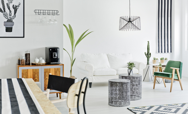 Tener un cactus en el comedor según el Feng Shui Tener un cactus en el comedor según el Feng Shui