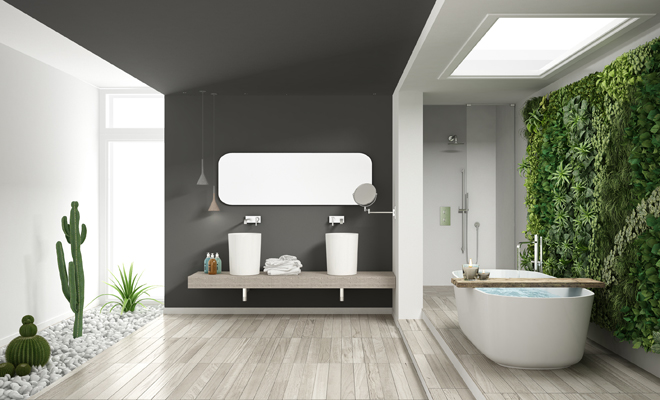 El Feng Shui de las plantas en el baño El Feng Shui de las plantas en el baño