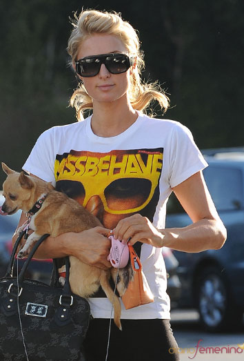 Nombres de perros famosos