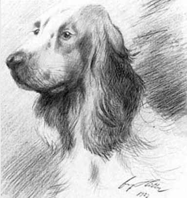 El perro dibujado por Hitler. El perro dibujado por Hitler.